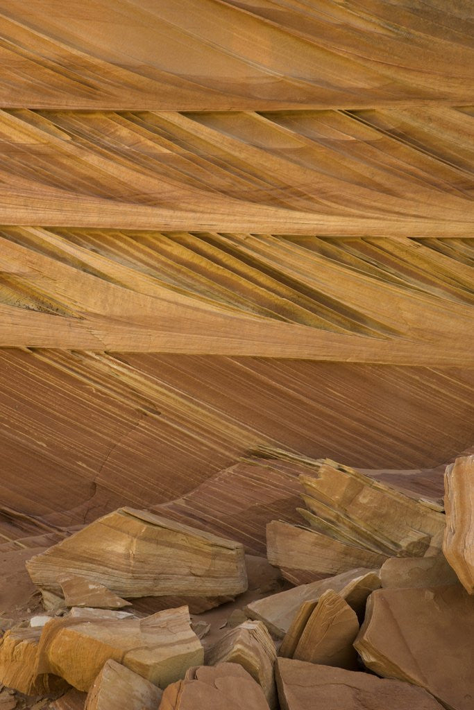 Detail of Colorful cross-bedded sandstone at Coyote Buttes by Anonymous