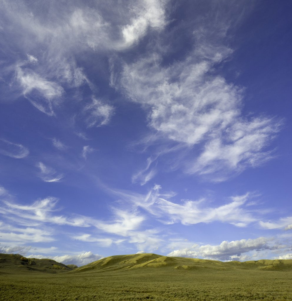 Detail of Lofty cumulus and cirrus clouds over sagebrush prairie by Anonymous