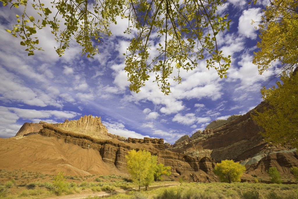 Detail of Castle and Fluted Wall Formations in Capitol Reef National Park by Anonymous