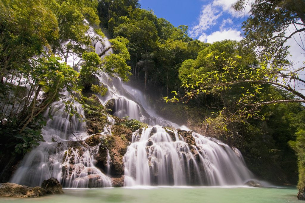 Detail of Waterfall in forest by Anonymous