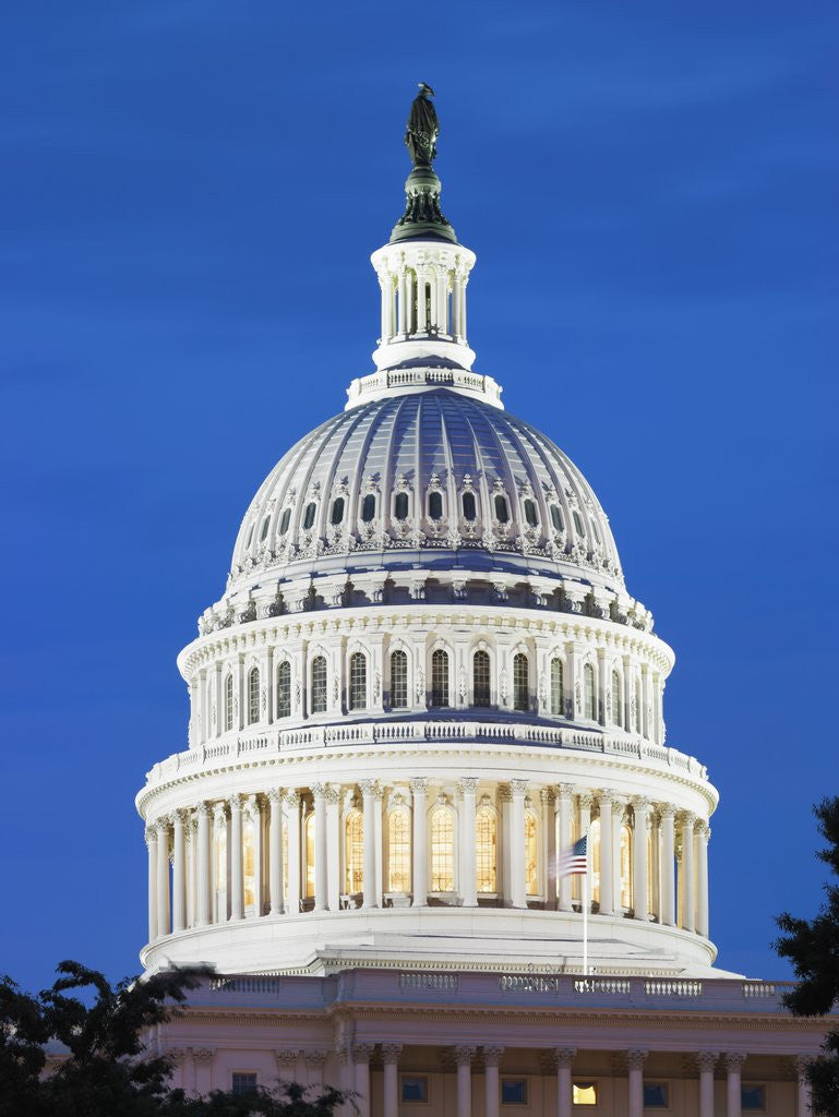 Detail of U.S. Capitol dome by Anonymous