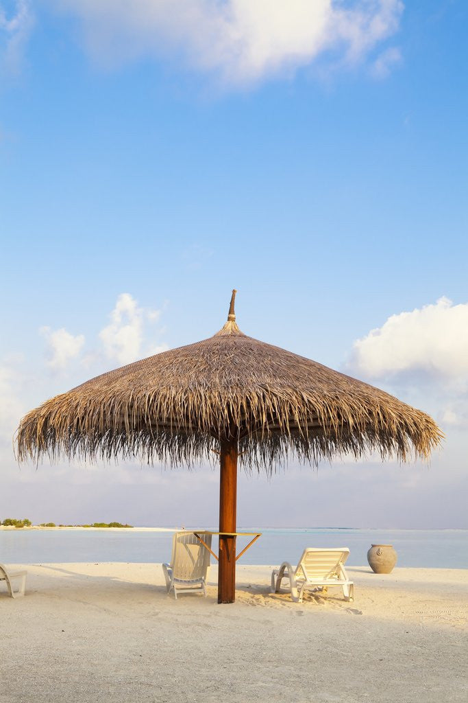 Detail of Beach chairs and umbrella at the beach by Anonymous