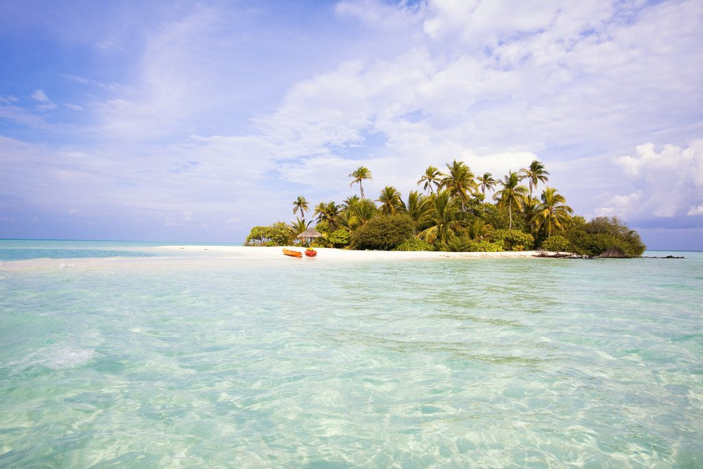 Detail of Sea kayaks on the beach of a coconut palm tree island by Anonymous