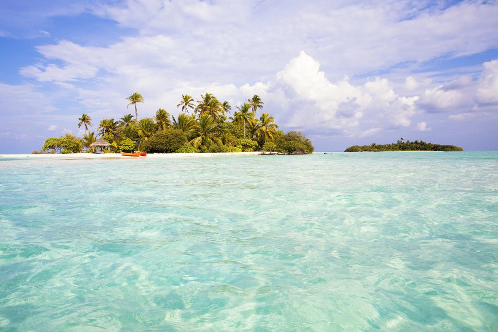 Detail of Sea kayaks on the beach of a coconut palm tree island by Anonymous