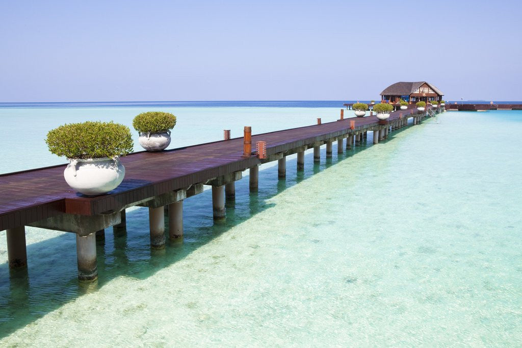 Detail of Boardwalk and bungalow by a lagoon in the Maldives by Anonymous