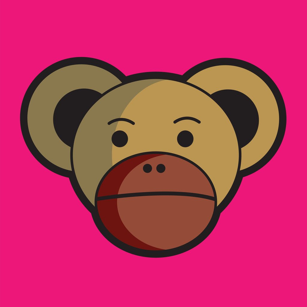 Detail of Monkey face by Anonymous