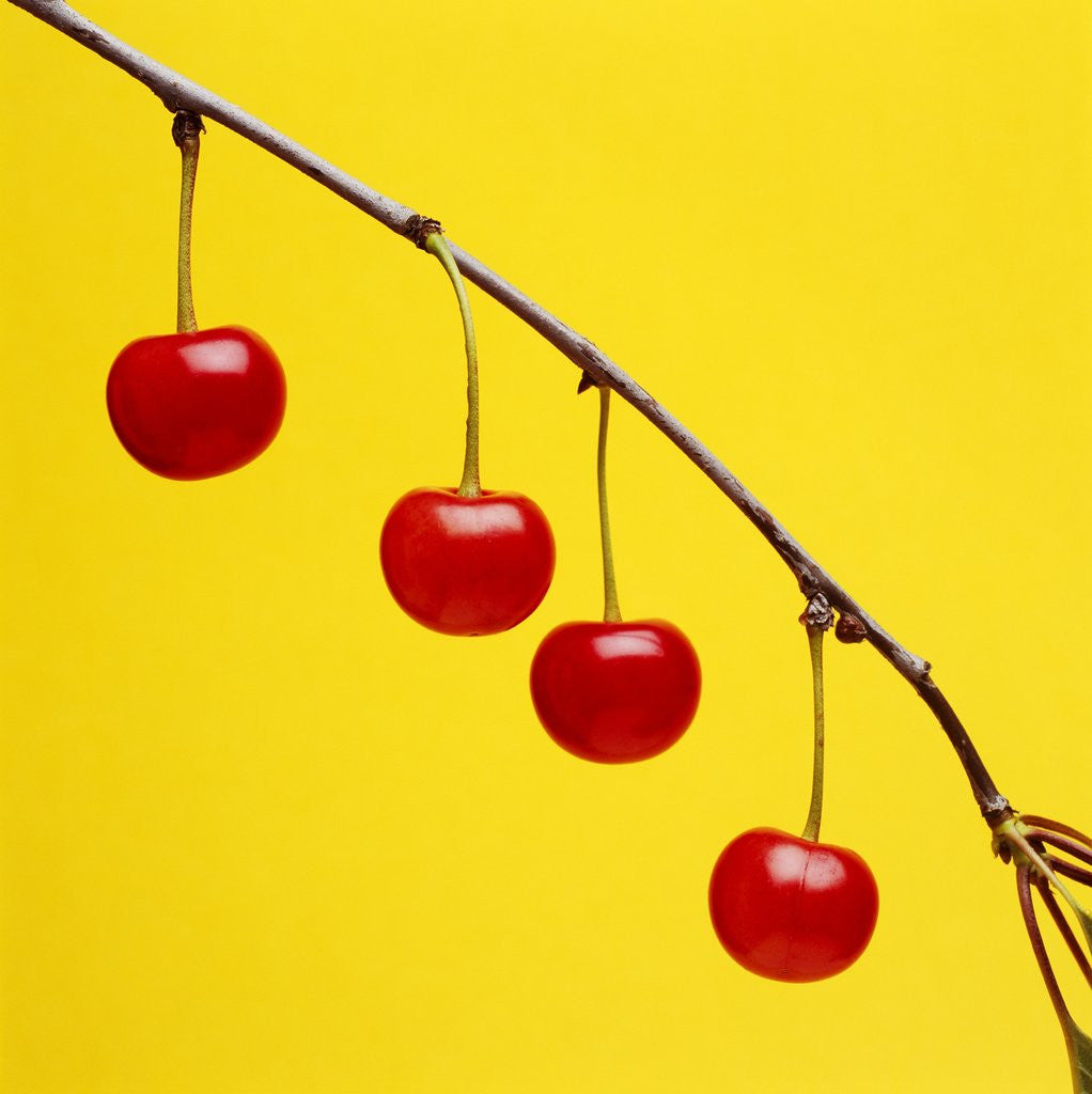 Detail of Four cherries by Tom Marks
