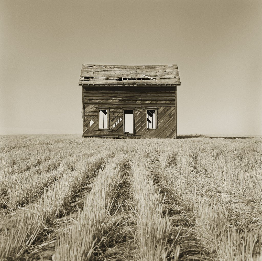Detail of Abandoned Farm House Still Standing by Tom Marks