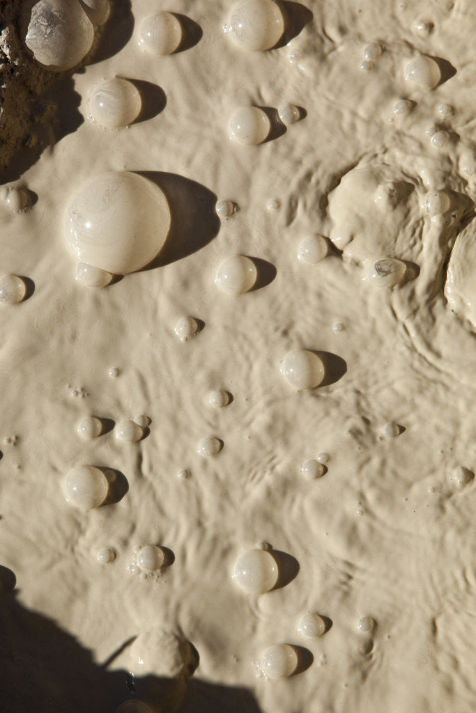 Detail of Bubbles in boiling volcanic mud pot by Anonymous