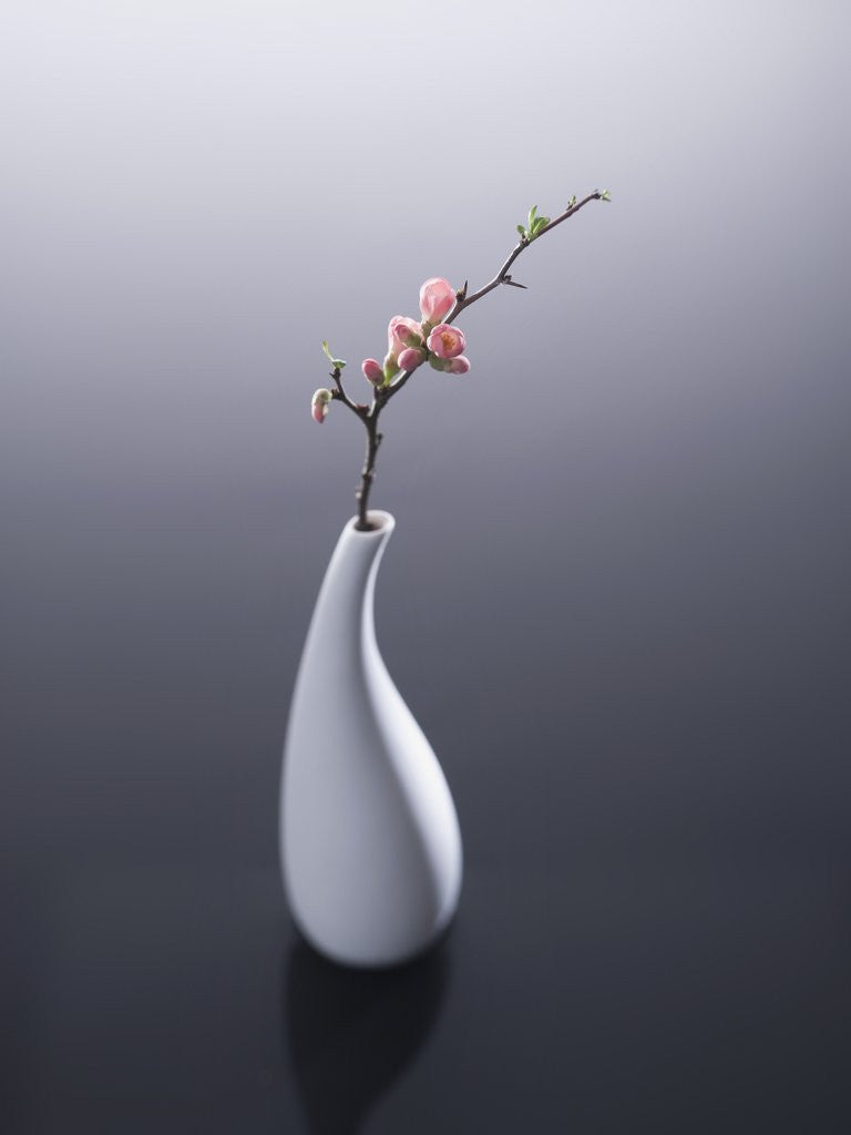 Detail of Cherry blossom in vase by Anonymous