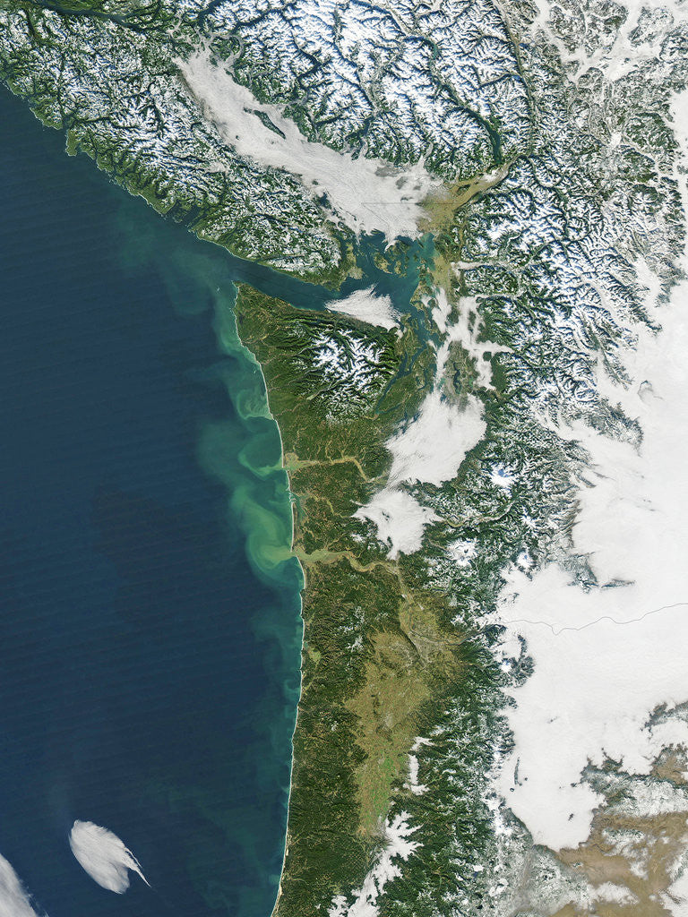 Detail of Pacific Northwest Coast of the United States in winter by Anonymous