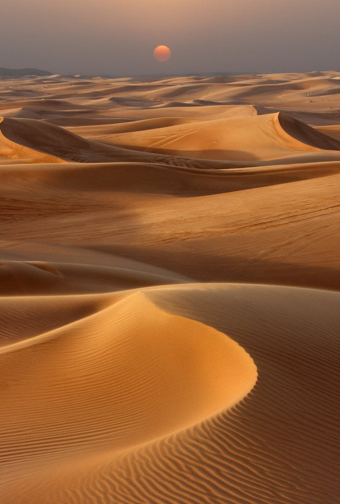 Detail of Sunset over the sand dunes in Dubai by Corbis