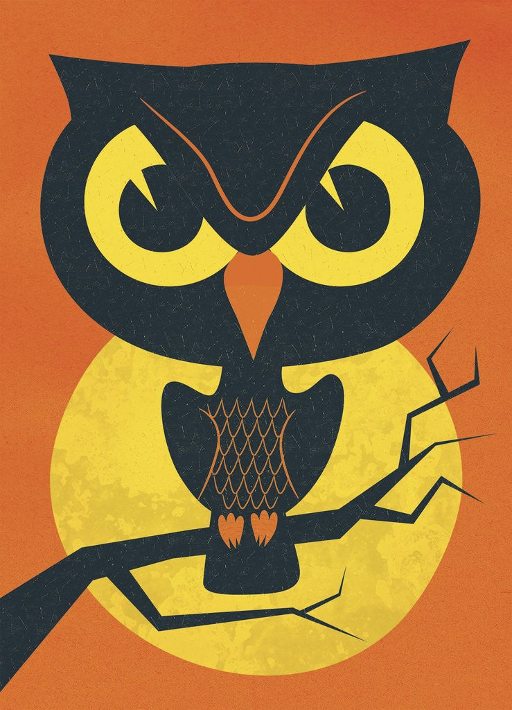 Detail of Spooky Owl by Corbis