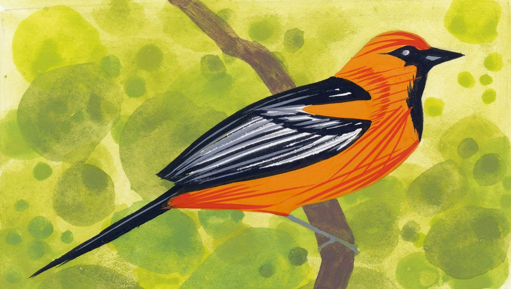 Detail of A Single Oriole by Anonymous