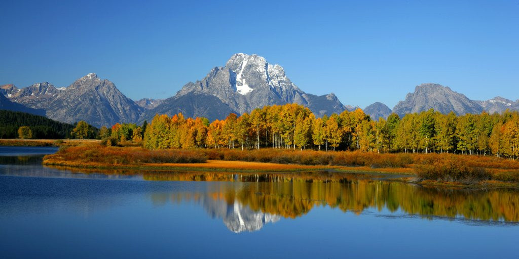 Detail of Oxbow Bend in Grand Teton National Park by Anonymous