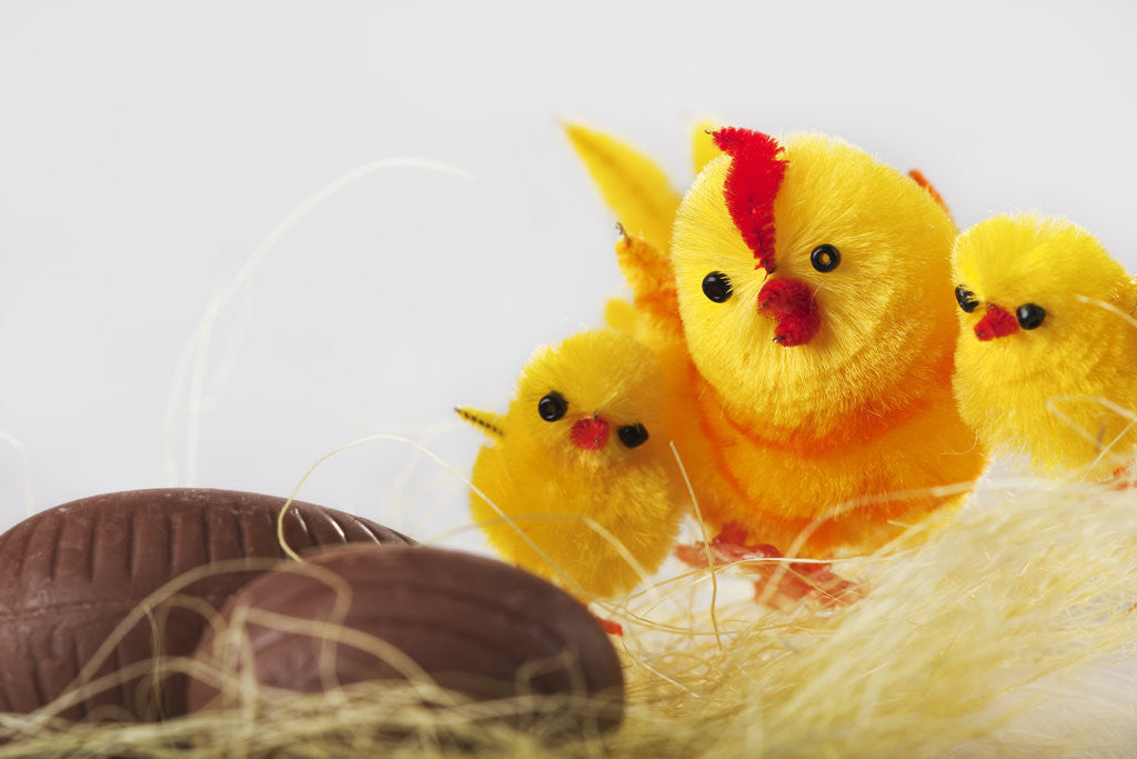 Detail of Toy chickens looking at chocolate eggs by Anonymous