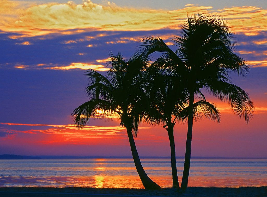 Detail of Colorful sunset over Sombrero Beach in the Florida Keys by Anonymous