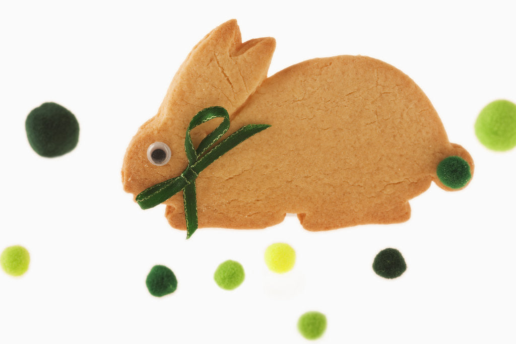 Detail of Bunny cookie with green pom-pom tail by Anonymous