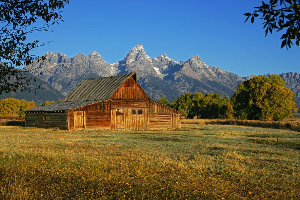 Detail of Barn and field by Anonymous