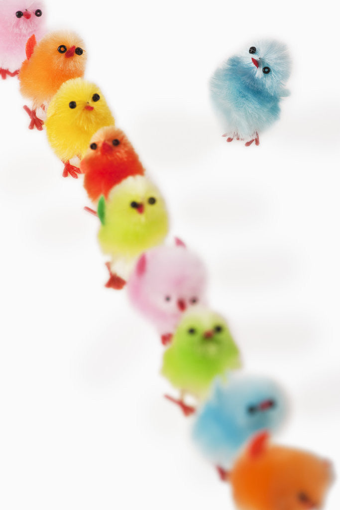 Detail of Fluffy toy chicks in a row by Anonymous