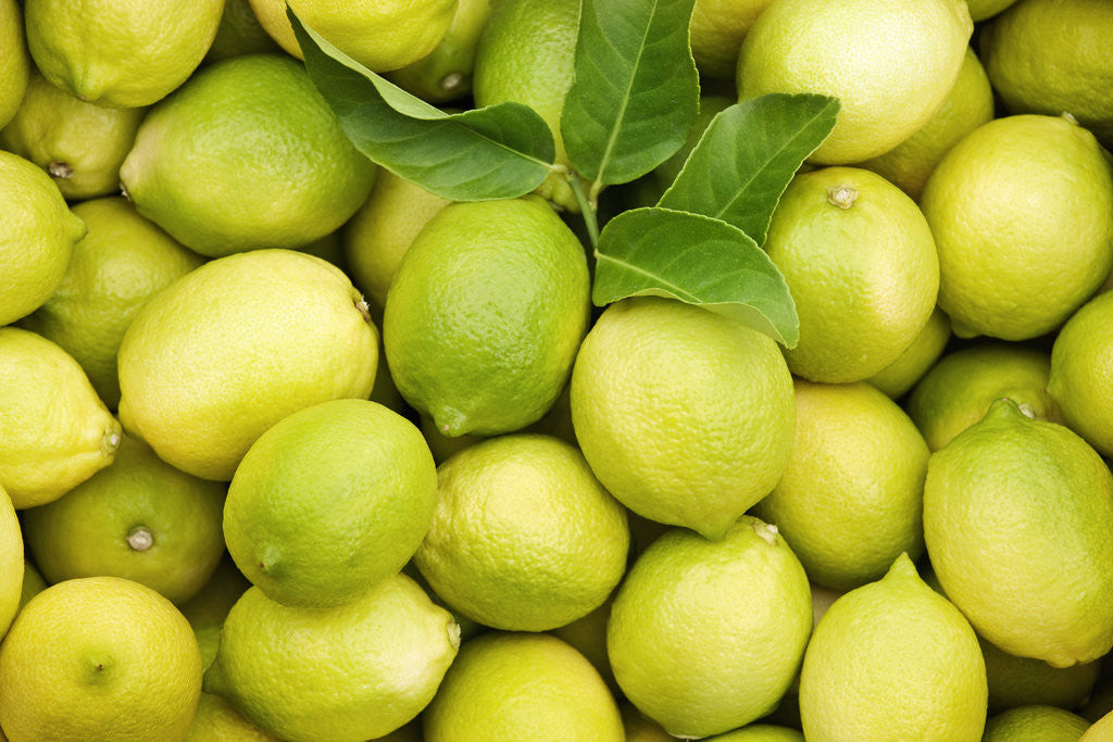 Detail of Fresh lemons by Anonymous