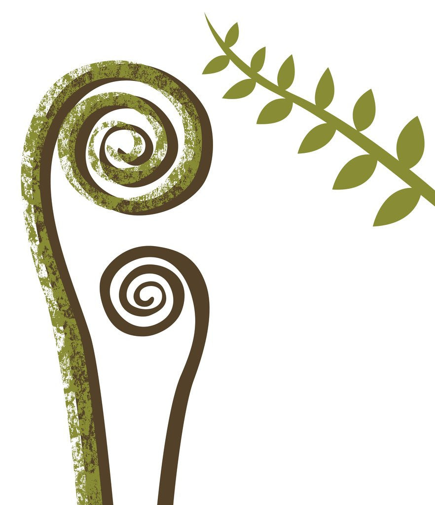 Detail of Leaves by Anonymous