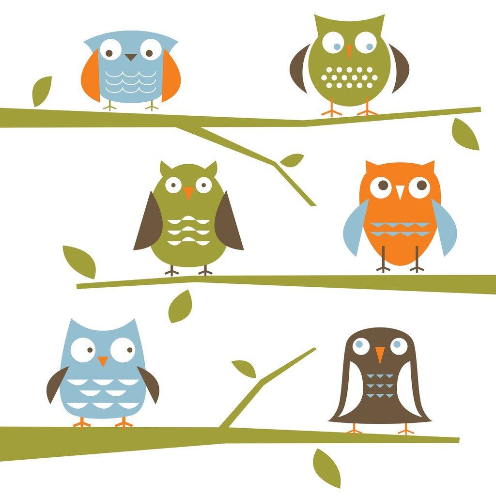 Detail of Owls on a branch by Corbis