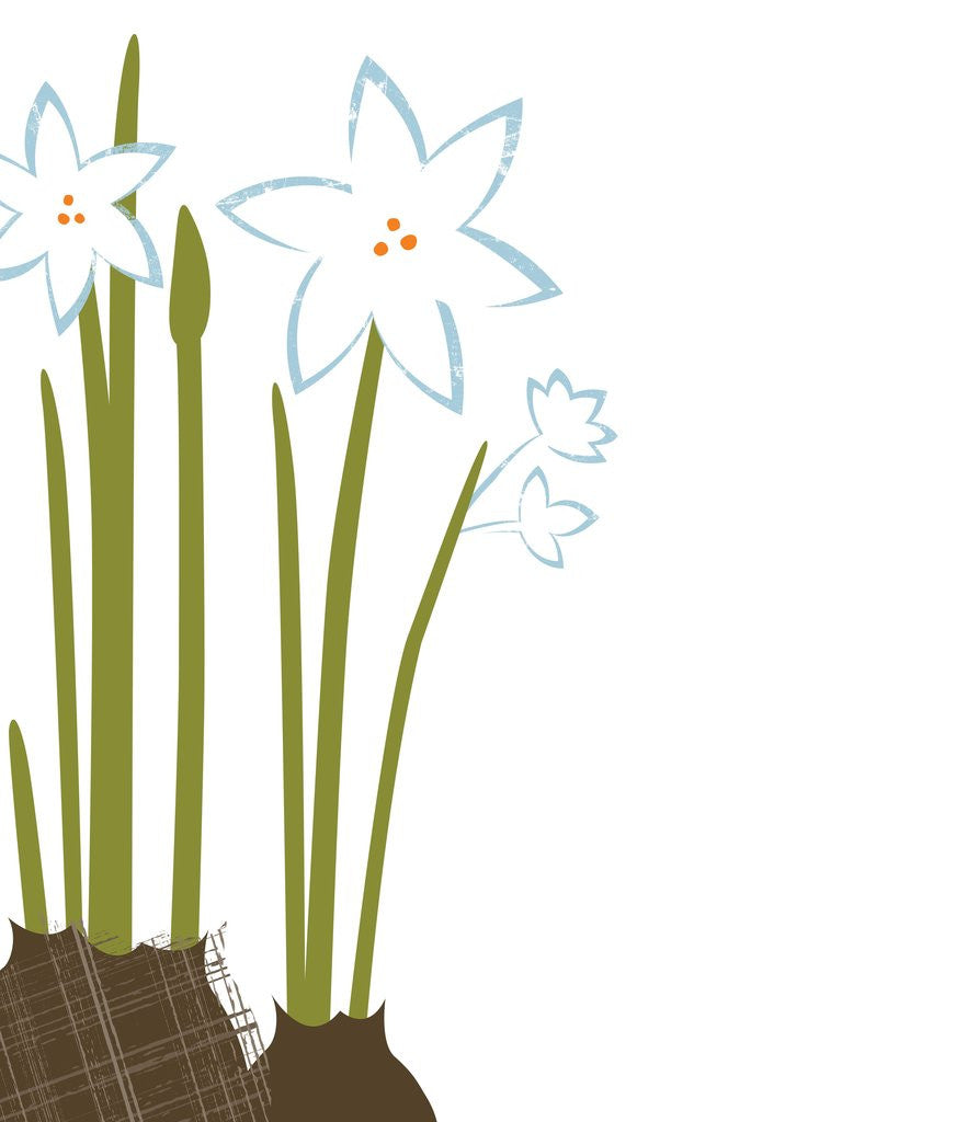 Detail of Flowers by Anonymous