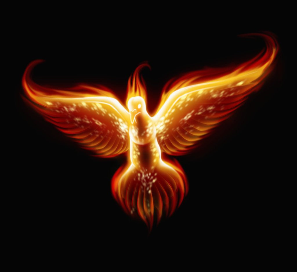 Detail of Phoenix by Corbis