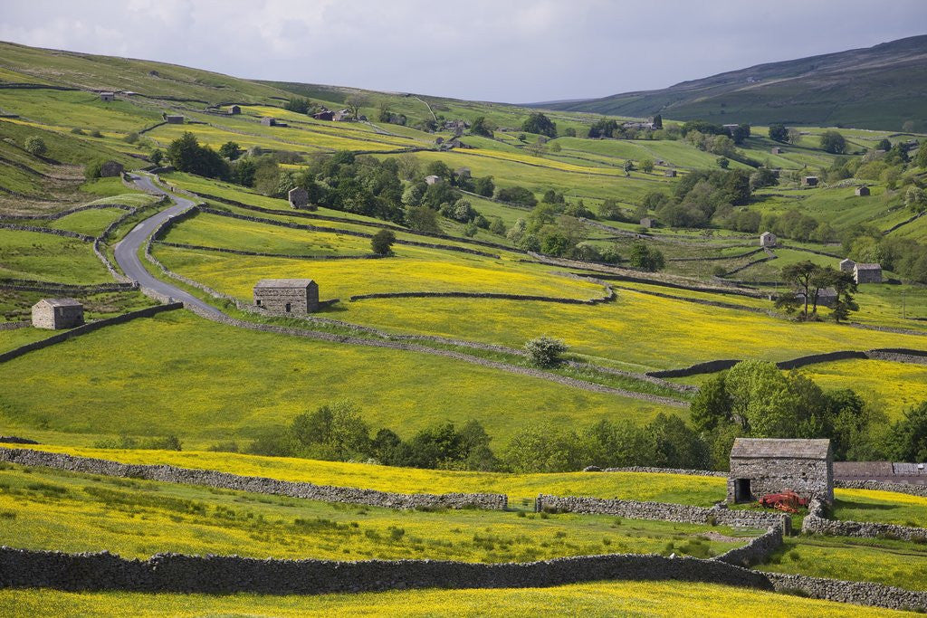 Detail of Stone barns and walls in fields by Anonymous