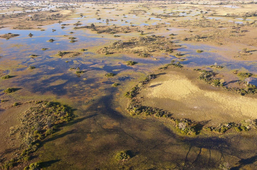 Detail of Okavango Delta by Anonymous