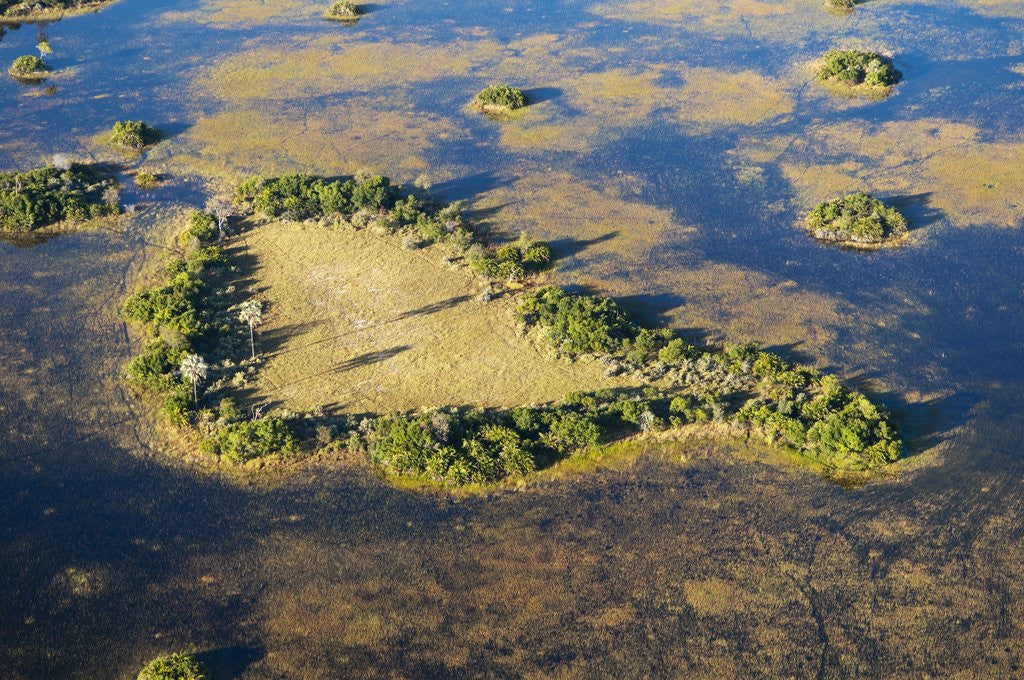 Detail of Island in Okavango Delta by Anonymous