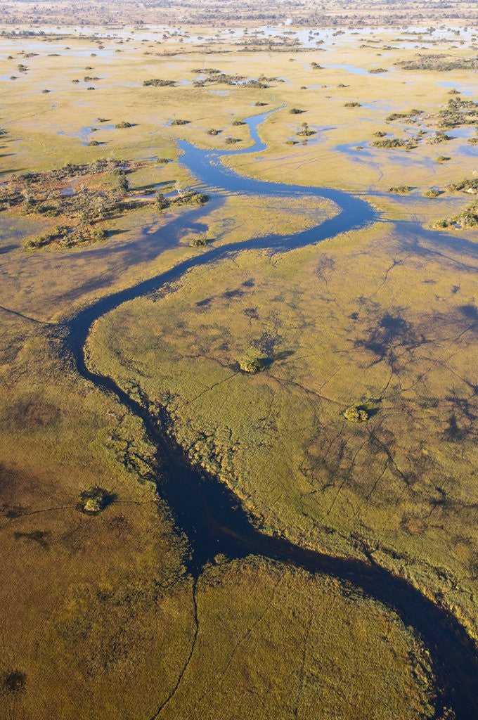Detail of Okavango River and delta by Anonymous