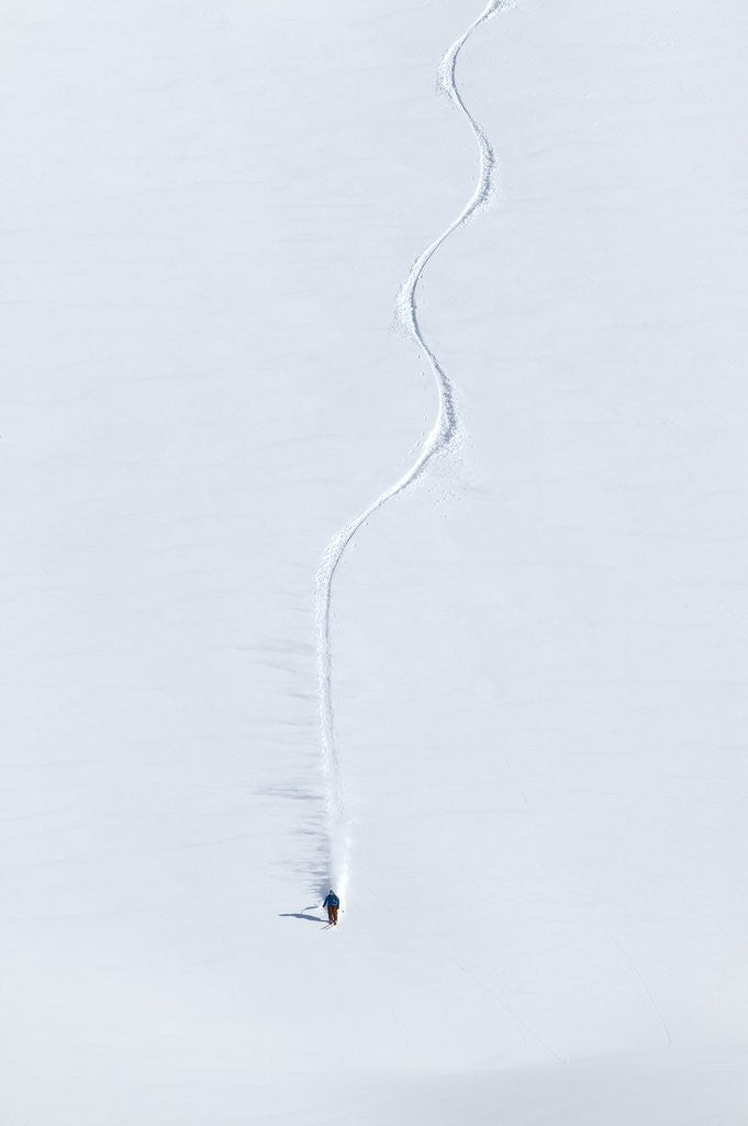 Detail of Extreme skier by Anonymous