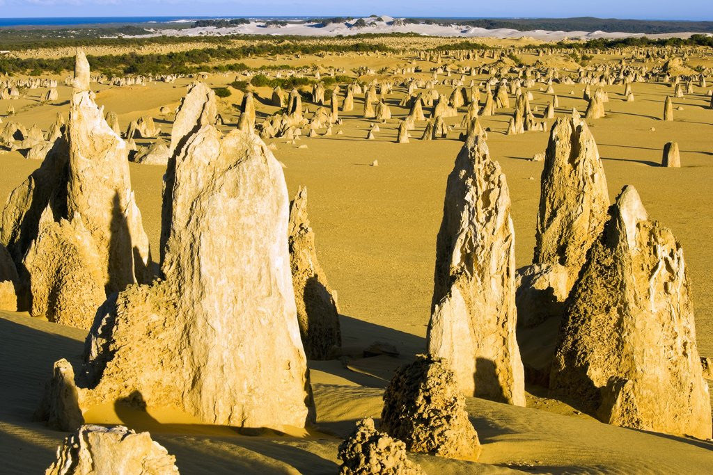 Detail of The Pinnacles in Australia by Anonymous