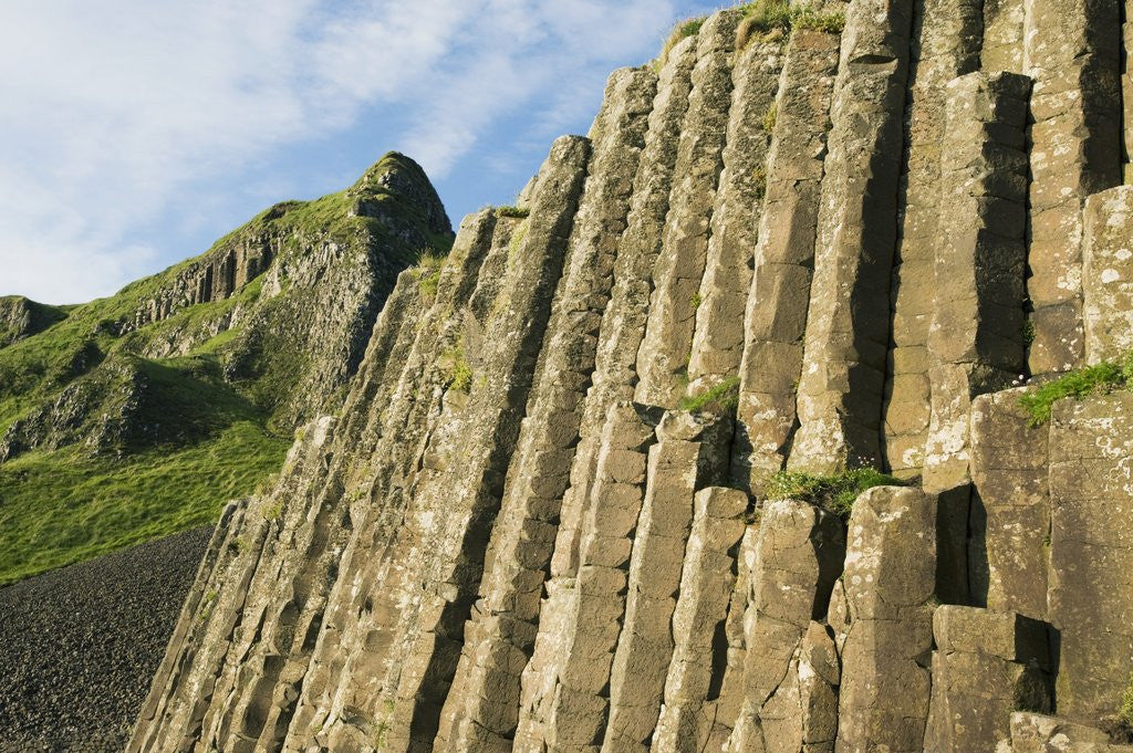 Detail of Giant's Causeway by Anonymous