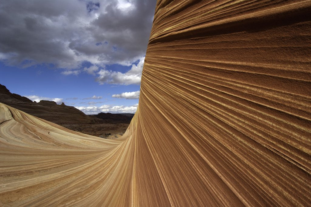 Detail of The Wave sandstone formation in Coyote Buttes by Anonymous
