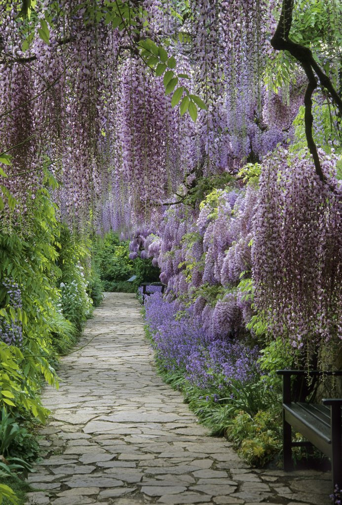 Detail of Spring garden by Anonymous