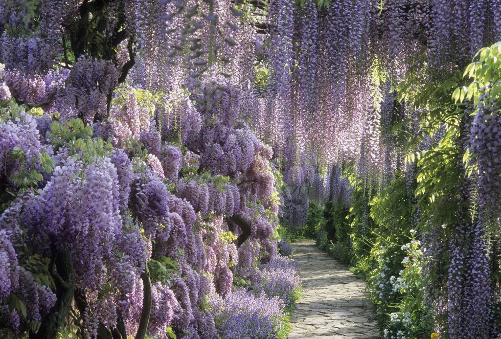 Detail of Spring garden by Anonymous