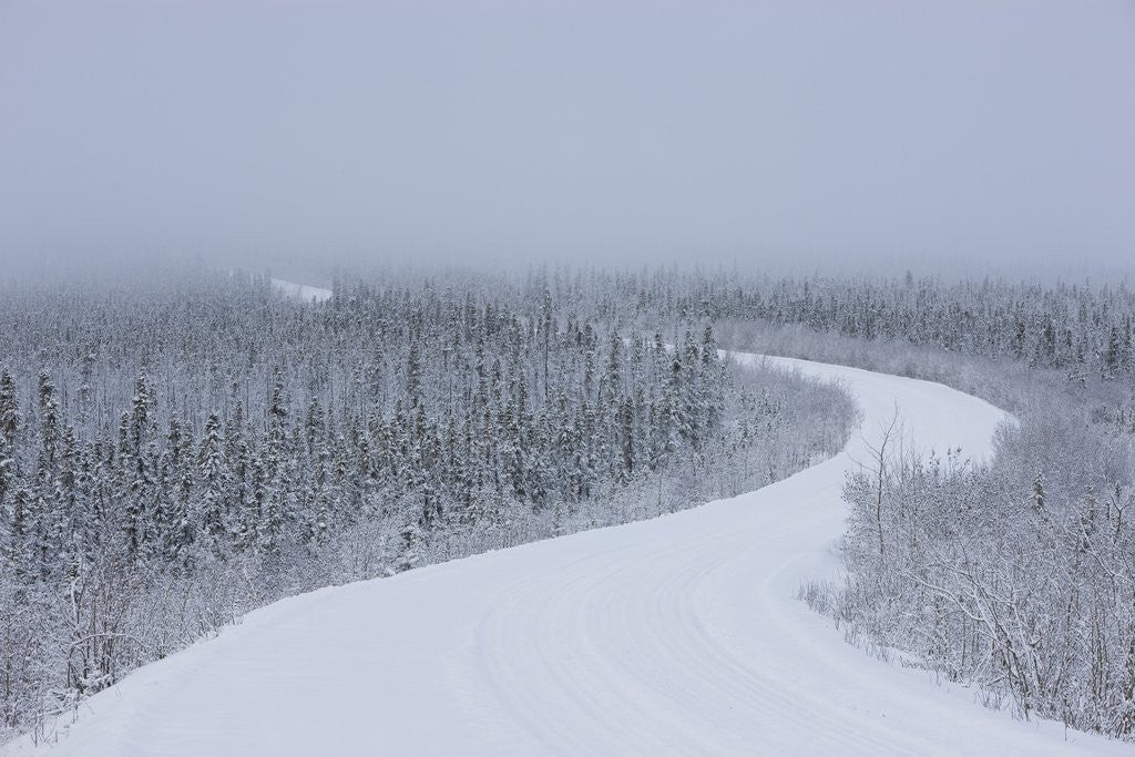 Detail of Dempster Highway in snow storm by Anonymous