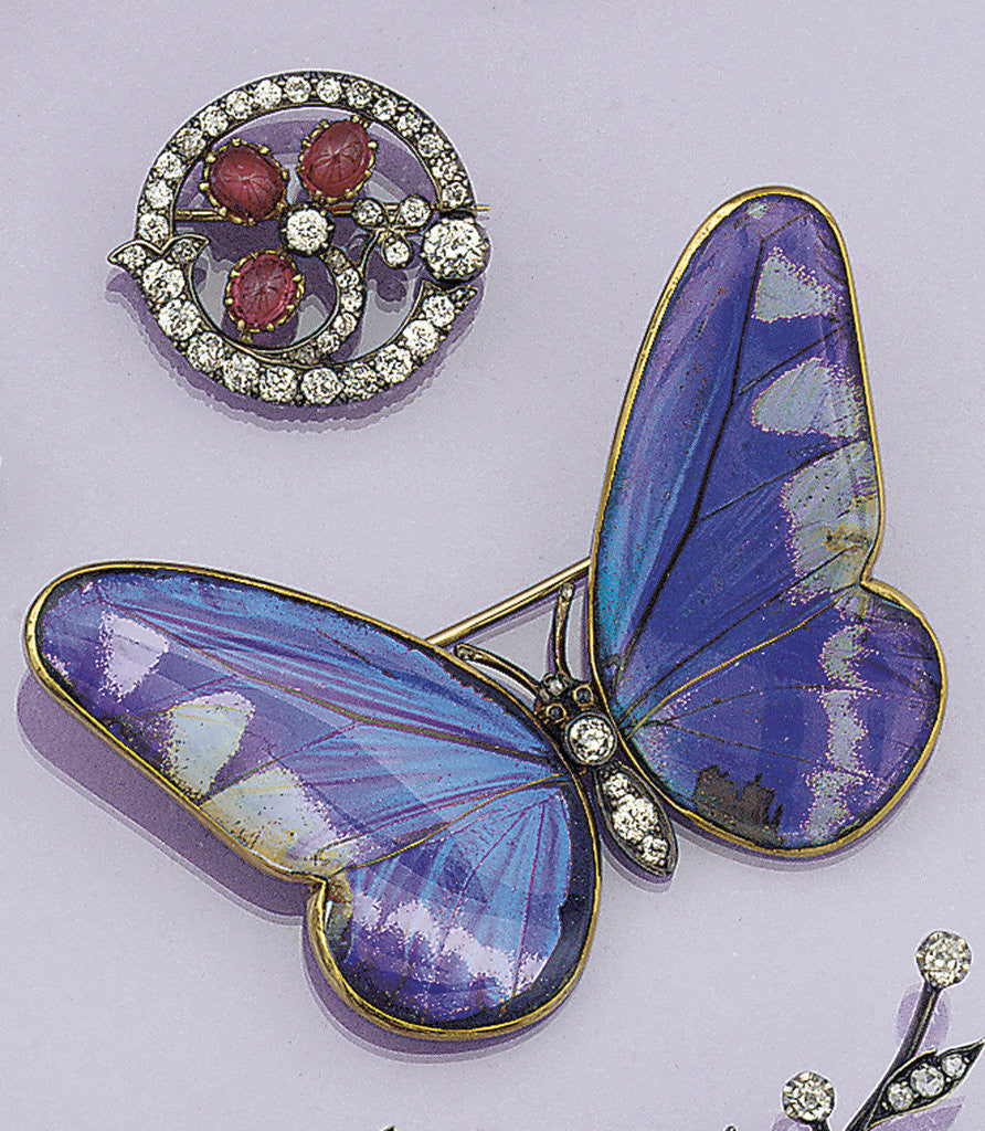 Detail of Victorian butterfly brooch by Corbis