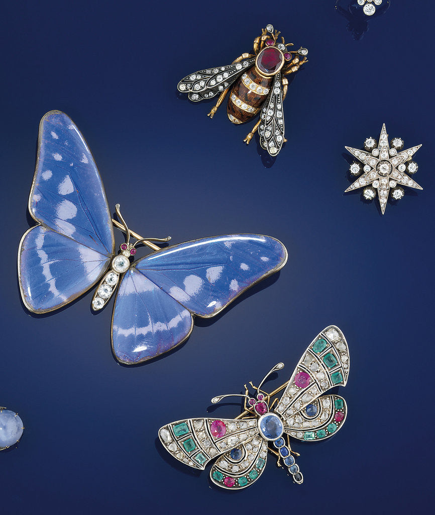 Detail of Butterfly brooch by Anonymous