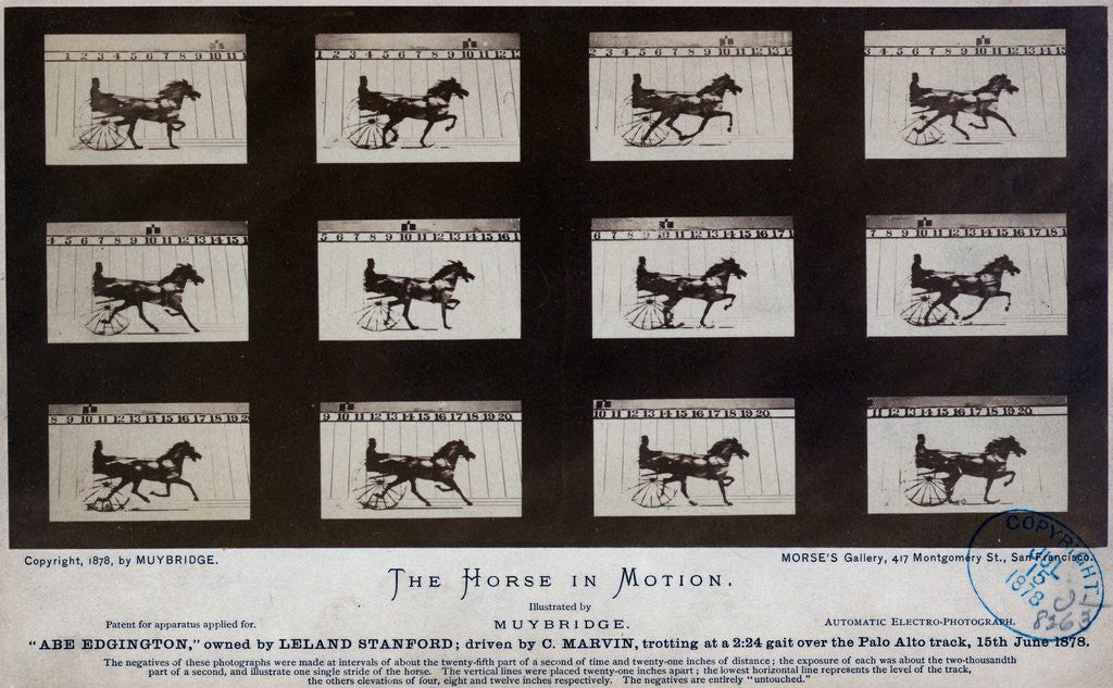 Detail of The Horse in Motion by Eadweard Muybridge
