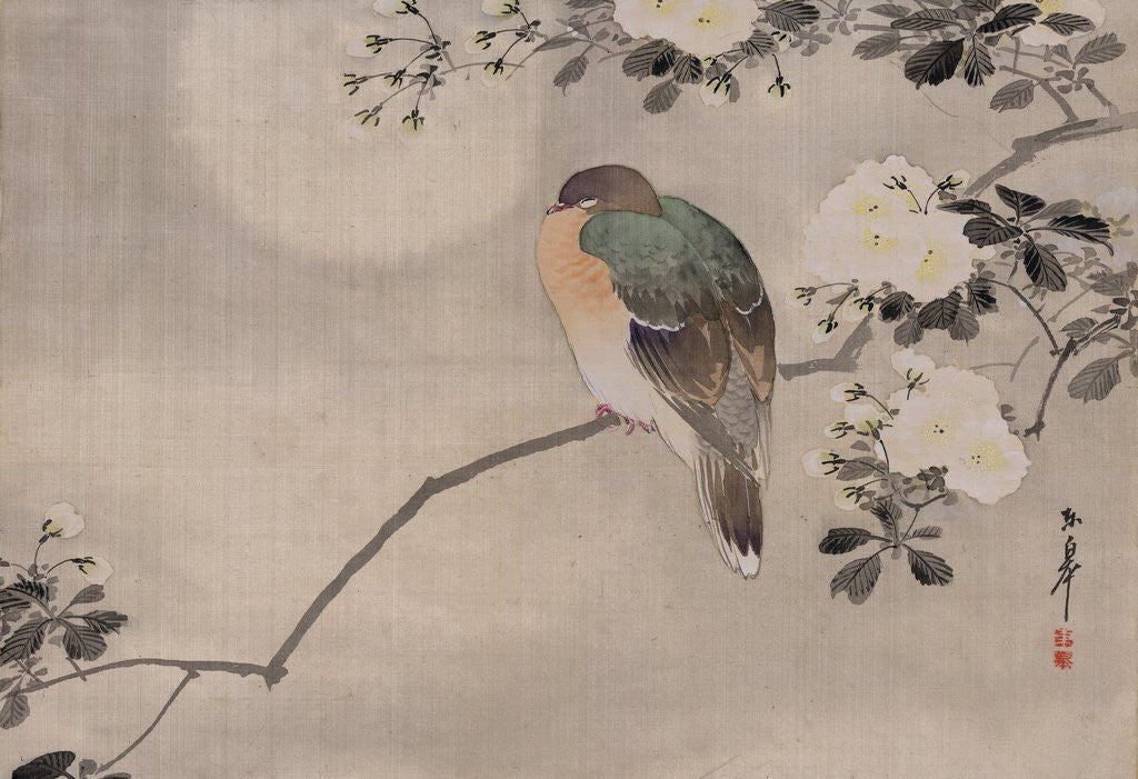 Detail of Japanese watercolor of bird perched on a branch of a blossoming tree by Corbis