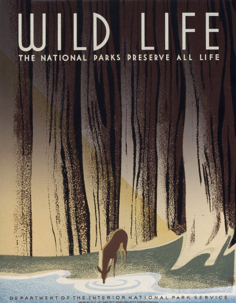 Detail of Wild Life poster by Frank S. Nicholson