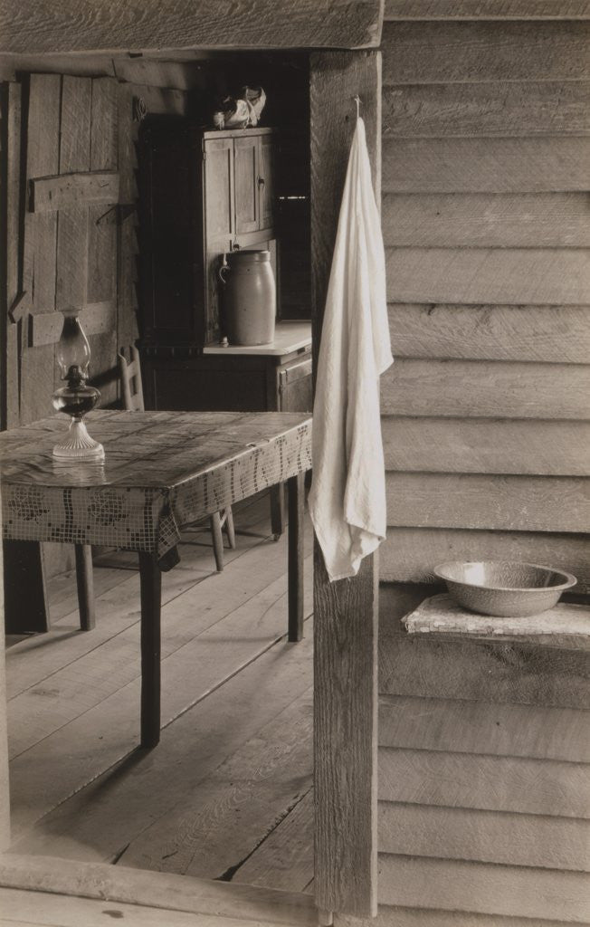 Detail of Part of the Kitchen by Walker Evans