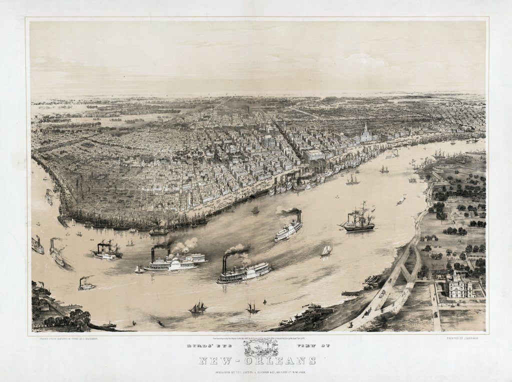 Detail of Birds' Eye View of New Orleans by Anonymous