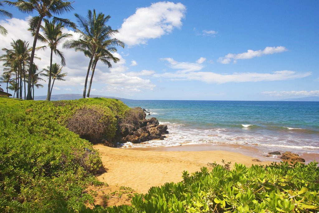 Detail of Secluded Po'olenalena Beach on Maui by Anonymous