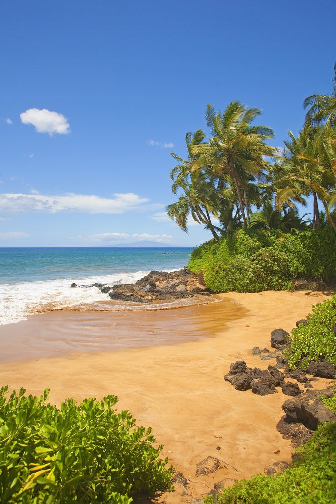 Detail of Chang's Beach on Maui by Anonymous