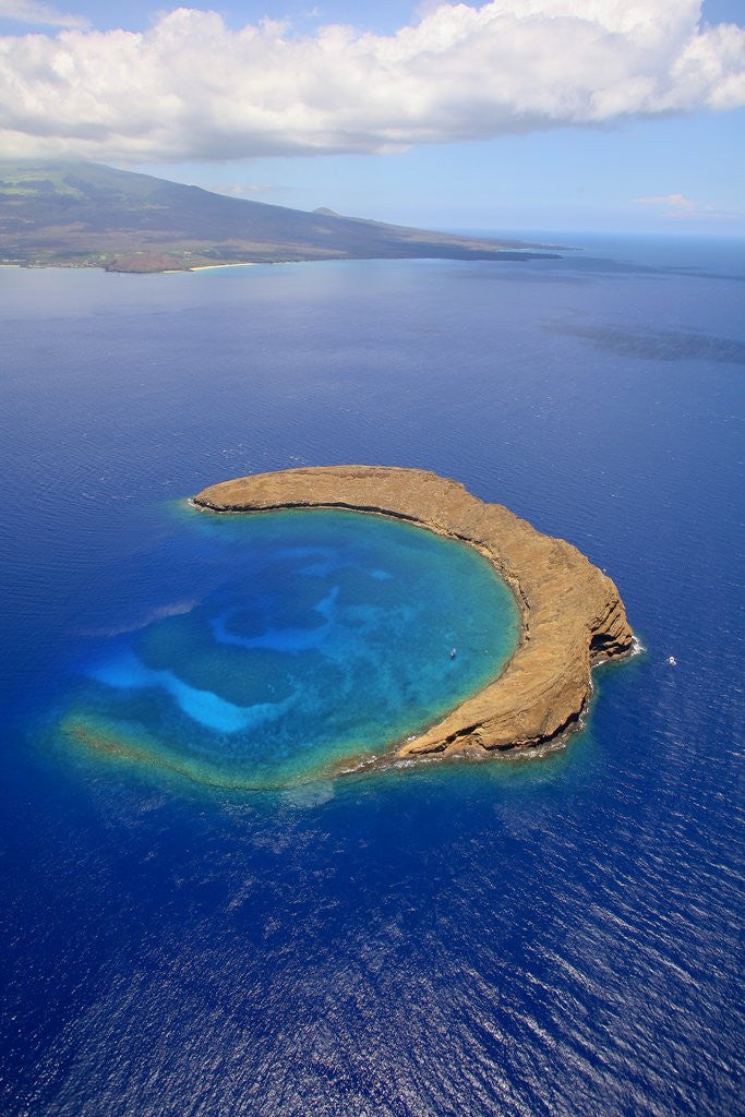 Detail of Molokini Crater off the coast of Maui by Corbis
